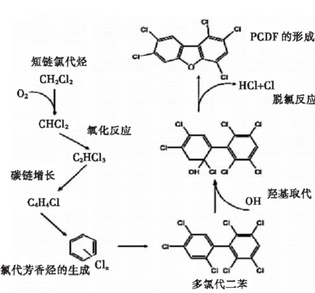 圖片6